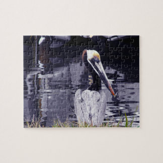 Puzzle Pelican by the Water