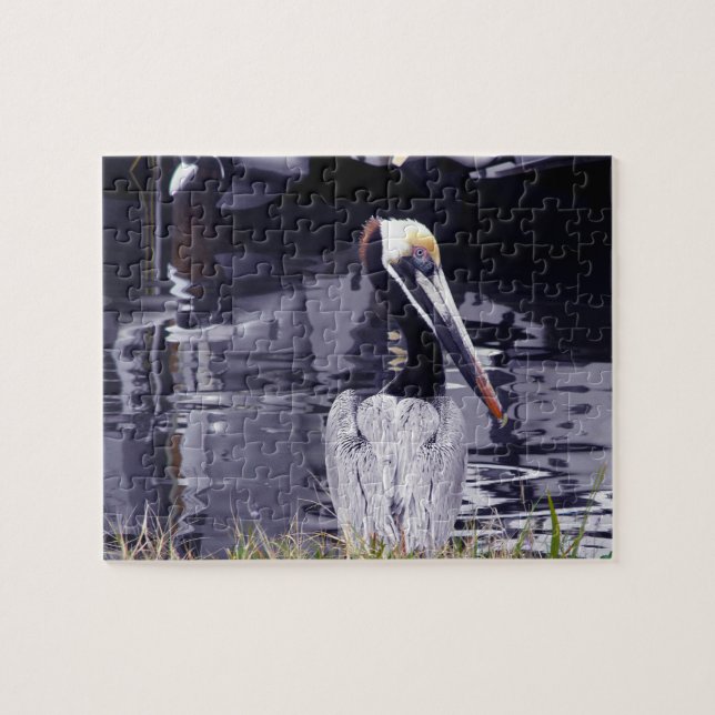 Puzzle Pelican by the Water (Horizontal)