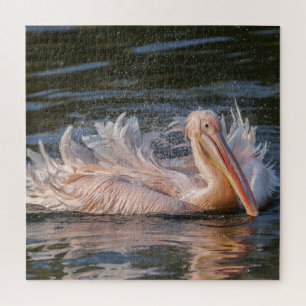Puzzle Pelican en movimiento
