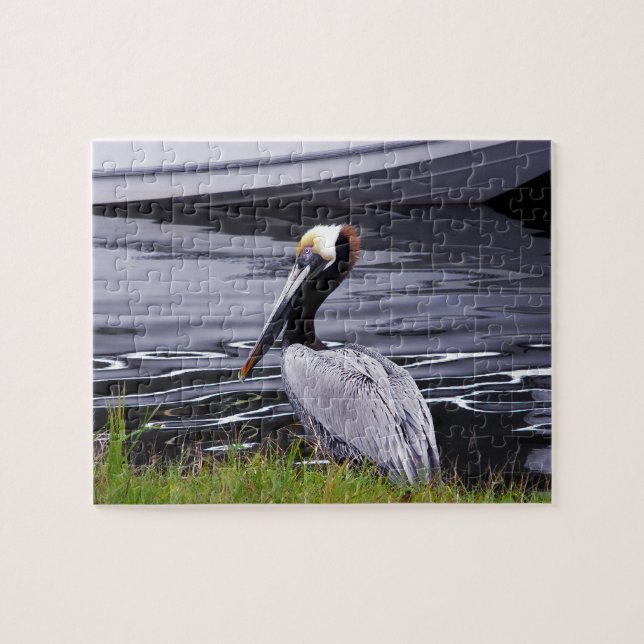 Puzzle Pelican Poser (Horizontal)