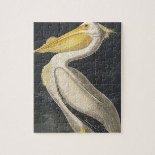 Puzzle Pelícano blanco americano de Aves de América