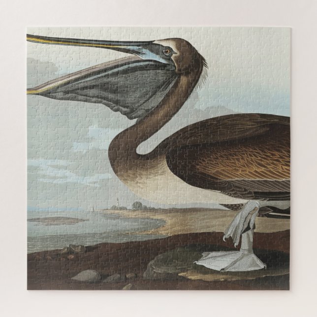 Puzzle Pelícano pardo de Aves de América (Vertical)