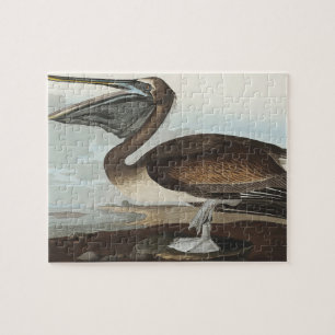 Puzzle Pelícano pardo de Aves de América