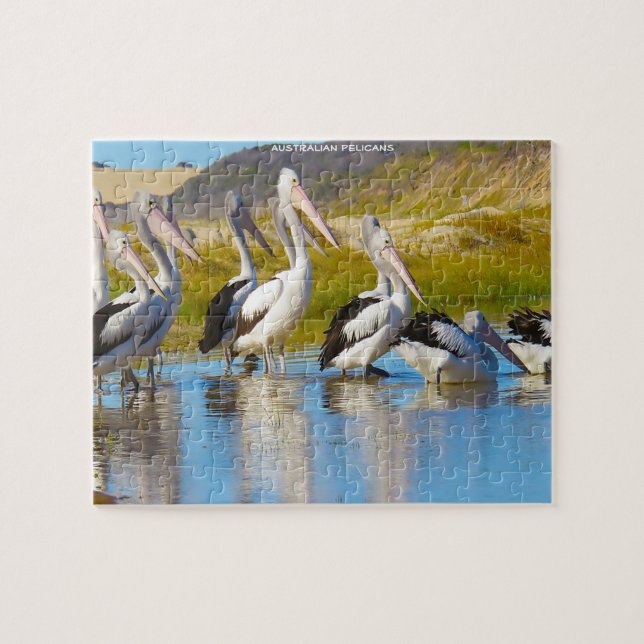 Puzzle Pelícanos australianos (Horizontal)