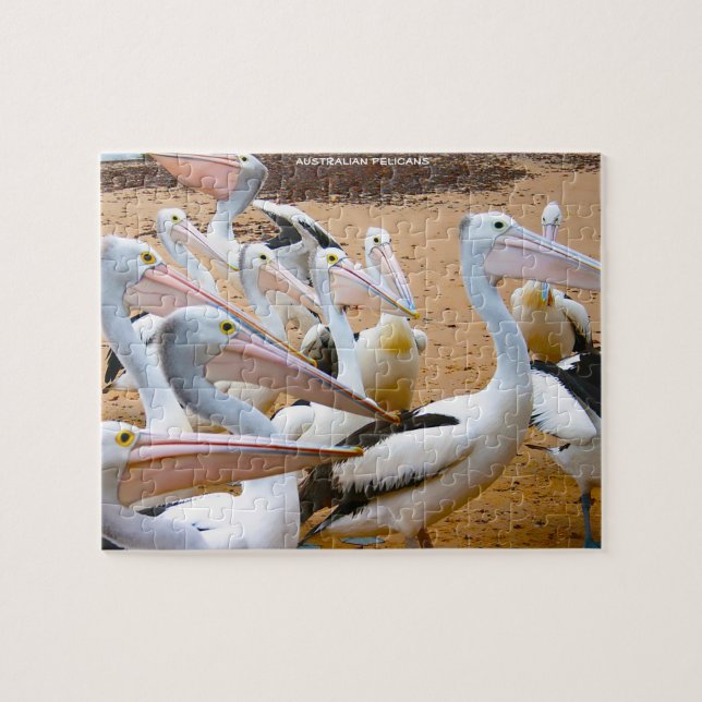 Puzzle Pelícanos de Australia (Horizontal)
