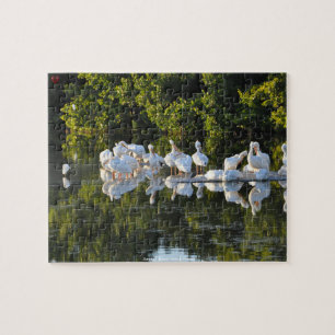 Puzzle Pelícanos de la Isla Sanibel Florida