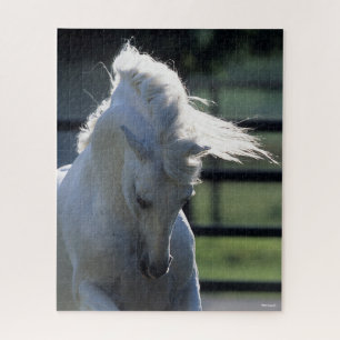 Puzzle Pelo de fondo gris andaluz con cabeza balanceada