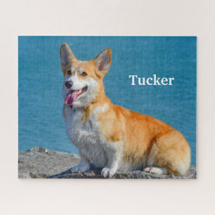 Puzzle Pembroke rojo y blanco Corgi galés cachorro perro 