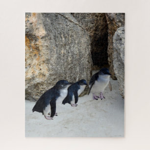 Puzzle Penguin Beach House