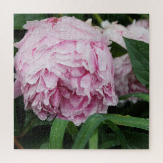 Puzzle Peonía Rosa