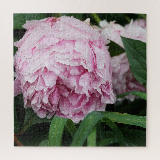 Puzzle Peonía Rosa (Vertical)