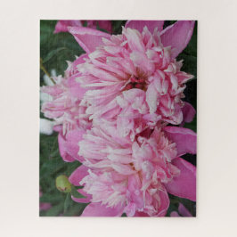 Puzzle Peonías rosadas