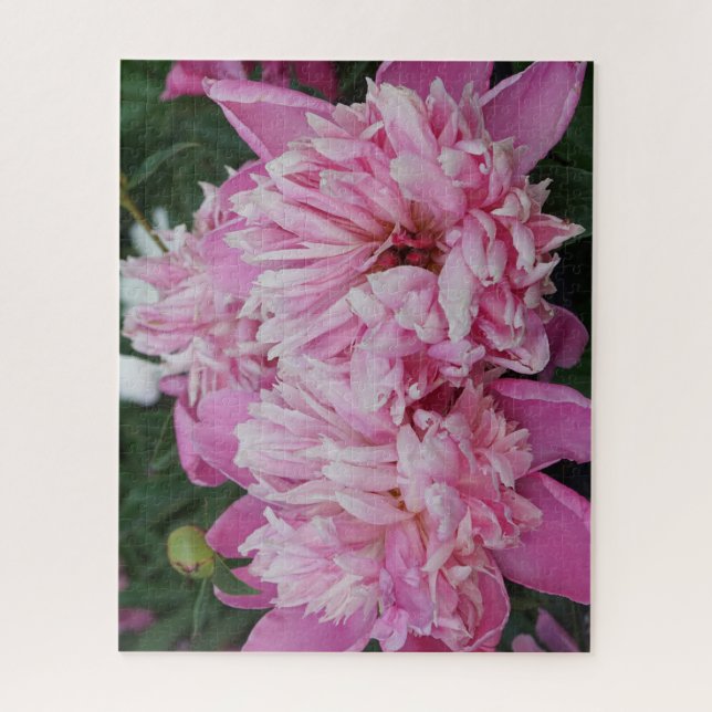 Puzzle Peonías rosadas (Vertical)