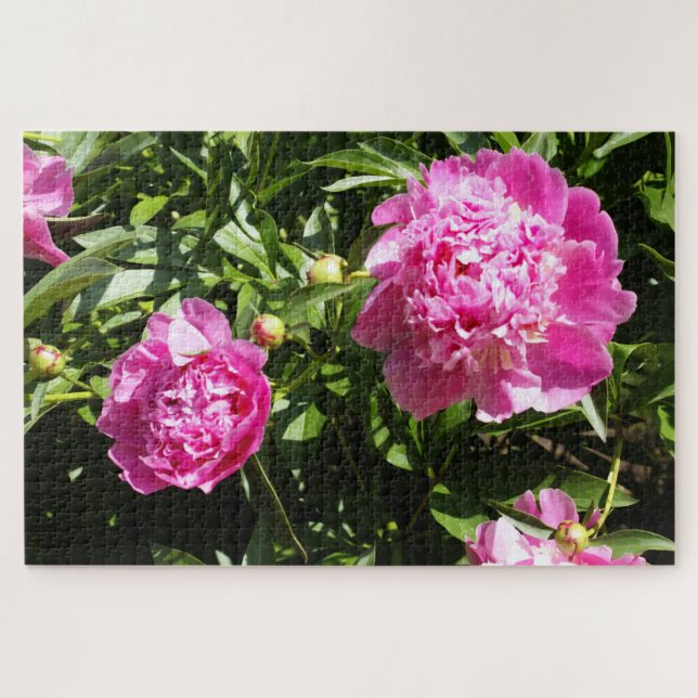 Puzzle peonías rosadas oscuras (Horizontal)