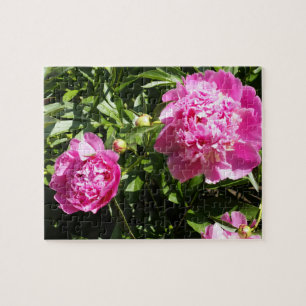 Puzzle peonías rosadas oscuras
