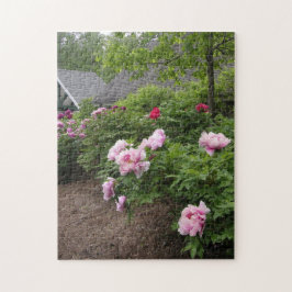 Puzzle Peony Garden