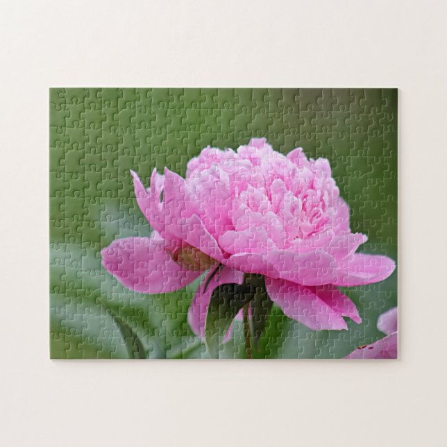 Puzzle Peony rosado (Horizontal)