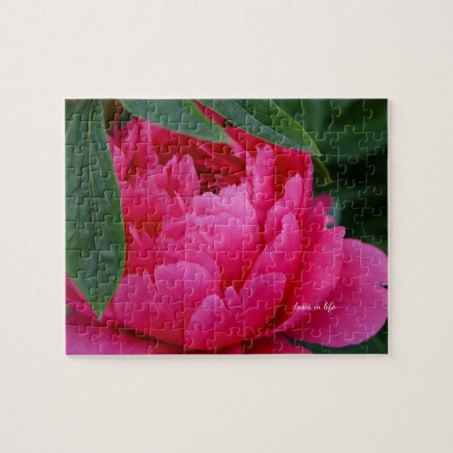 Puzzle Peony rosado de Bashful (Horizontal)