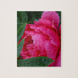 Puzzle Peony rosado de Bashful