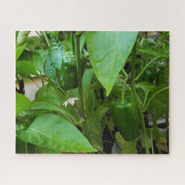Puzzle Peppers verdes (Horizontal)