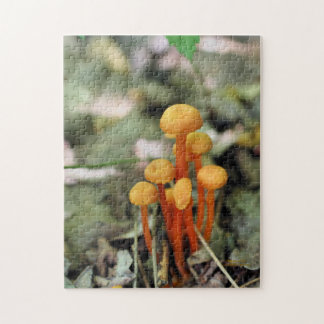 Puzzle Pequeña Naranja de la naturaleza de los hongos sal