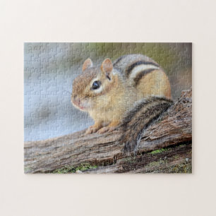 Puzzle Pequeño Chipmunk simplemente adorable