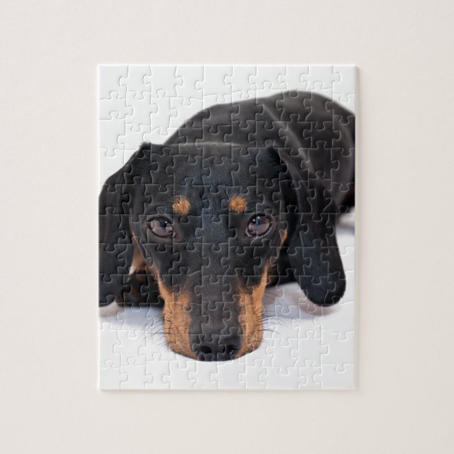 Puzzle Pequeño Dachshund (Vertical)