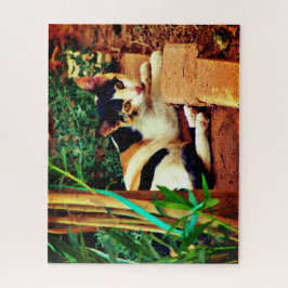 Puzzle Pequeño gato