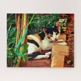 Puzzle Pequeño gato