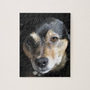 Puzzle Pequeño perro dulce posando para la cámara