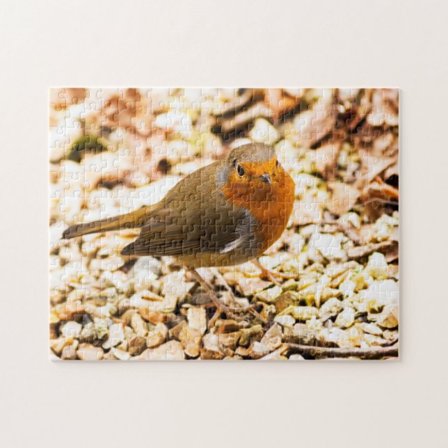 Puzzle Pequeño petirrojo Redbreast (Horizontal)