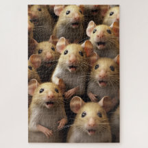 Pequeño ratoncito
