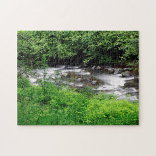 Puzzle Pequeño río Sandy y helechos