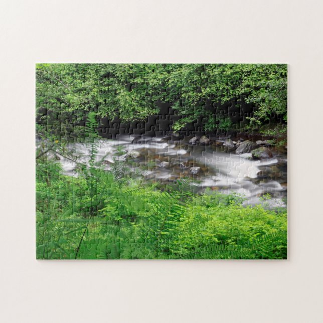 Puzzle Pequeño río Sandy y helechos (Horizontal)