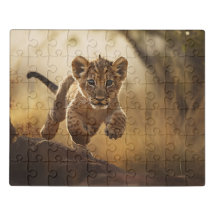 Pequeño Salto de León Cubo Acrílico