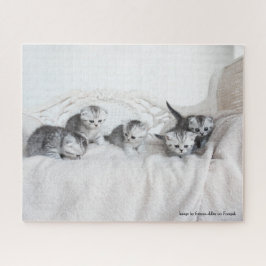 Puzzle Pequeños gatitos