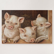 Pequeños lechones en un granero de la granja