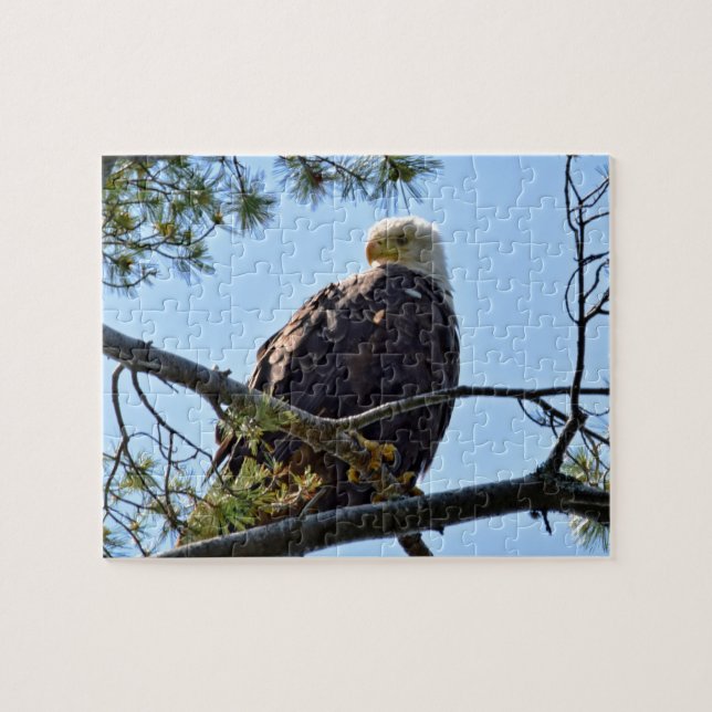 Puzzle Perca de águila calva - 8x10 - 110 pcs. (Horizontal)