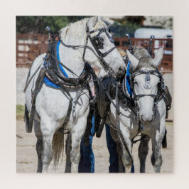 Puzzle Percheron Borrador de caballo
