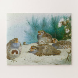 Puzzle perdiz inglesa con gorjeo y silbatos, arte