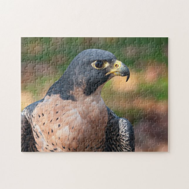 Puzzle Peregrine Falcon Profile (Horizontal)