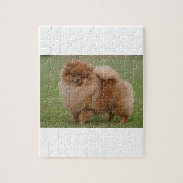 Puzzle Perfección de Pomeranian, (Vertical)