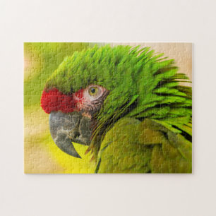 Puzzle Perfil de guacamayo en el zoológico de Santa Bárba
