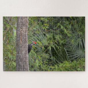 Puzzle Perfil de la Florida Foto Natural del Páquer de La