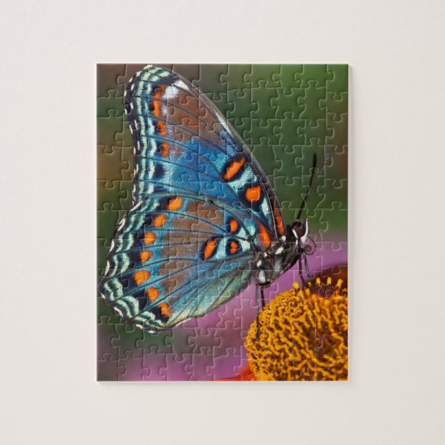 Puzzle Perfil de mariposa en una flor (Vertical)