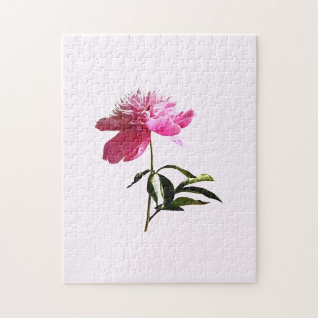 Puzzle Perfil de Pink Peony (Vertical)