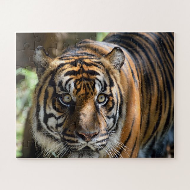 Puzzle Perfil de tigre (Horizontal)