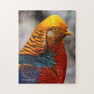Puzzle Perfil de un faisán dorado rojo