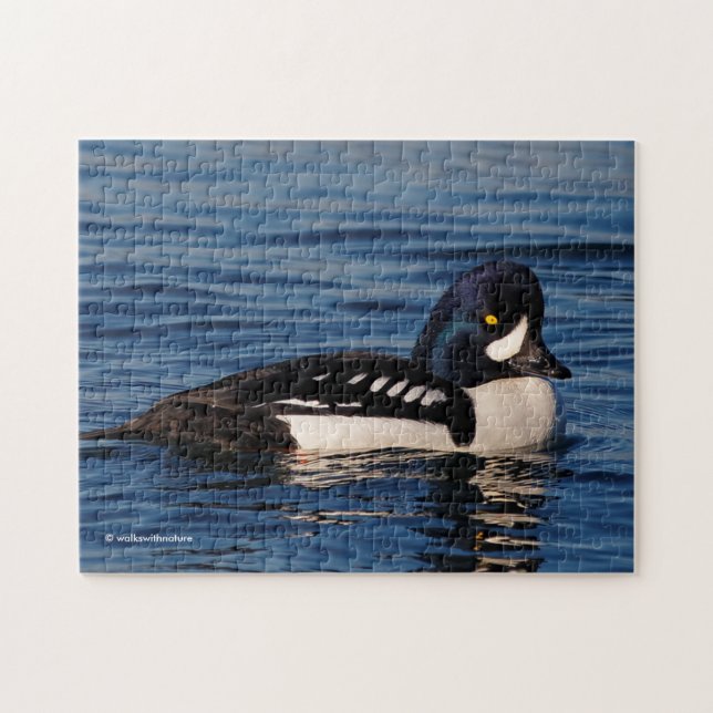 Puzzle Perfil de un Goldeneye de Barrow (Horizontal)