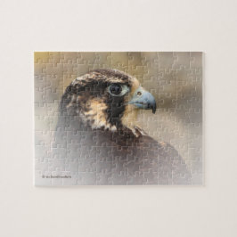 Puzzle Perfil visto de un halcón peregrino